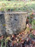 image of grave number 724944